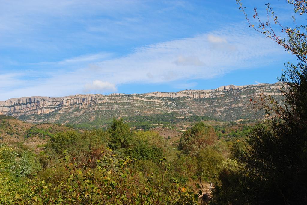 Masia El Riscle - Moli Del Pont Pension Cornudella de Montsant Buitenkant foto