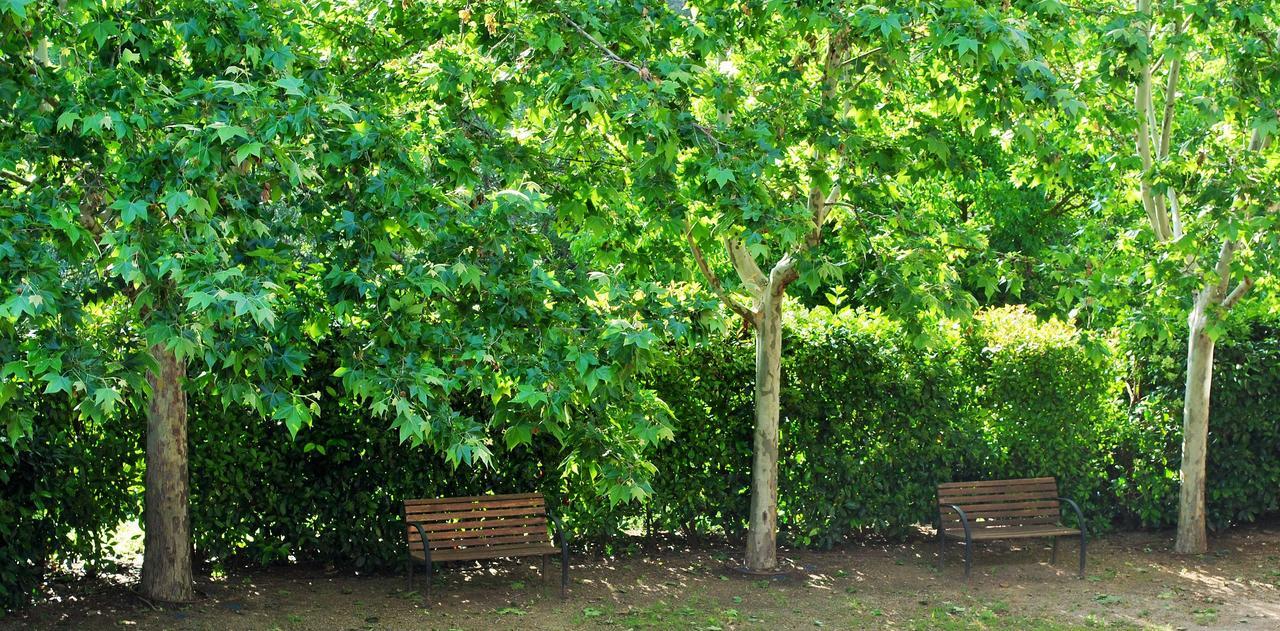 Masia El Riscle - Moli Del Pont Pension Cornudella de Montsant Buitenkant foto